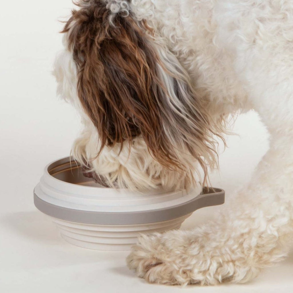 Travel Dog Bowl product image 2