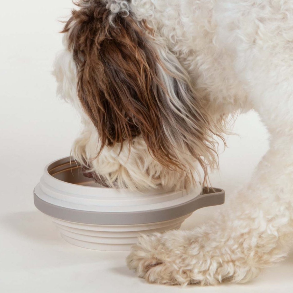 Travel Dog Bowl product image 2