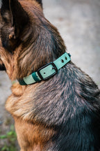 Martingale Dog Collar product image 2