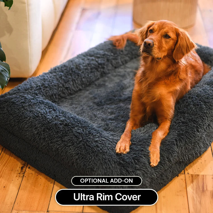 Memory Foam Dog Bed product image 2