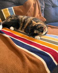 Pet Blanket product image 2