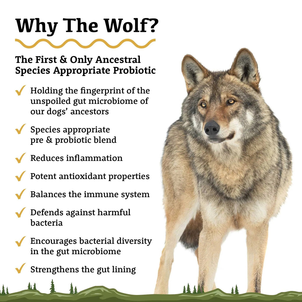 Dog Probiotic product image 2