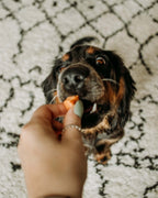 Single-Ingredient Salmon Dog Treats product image 2