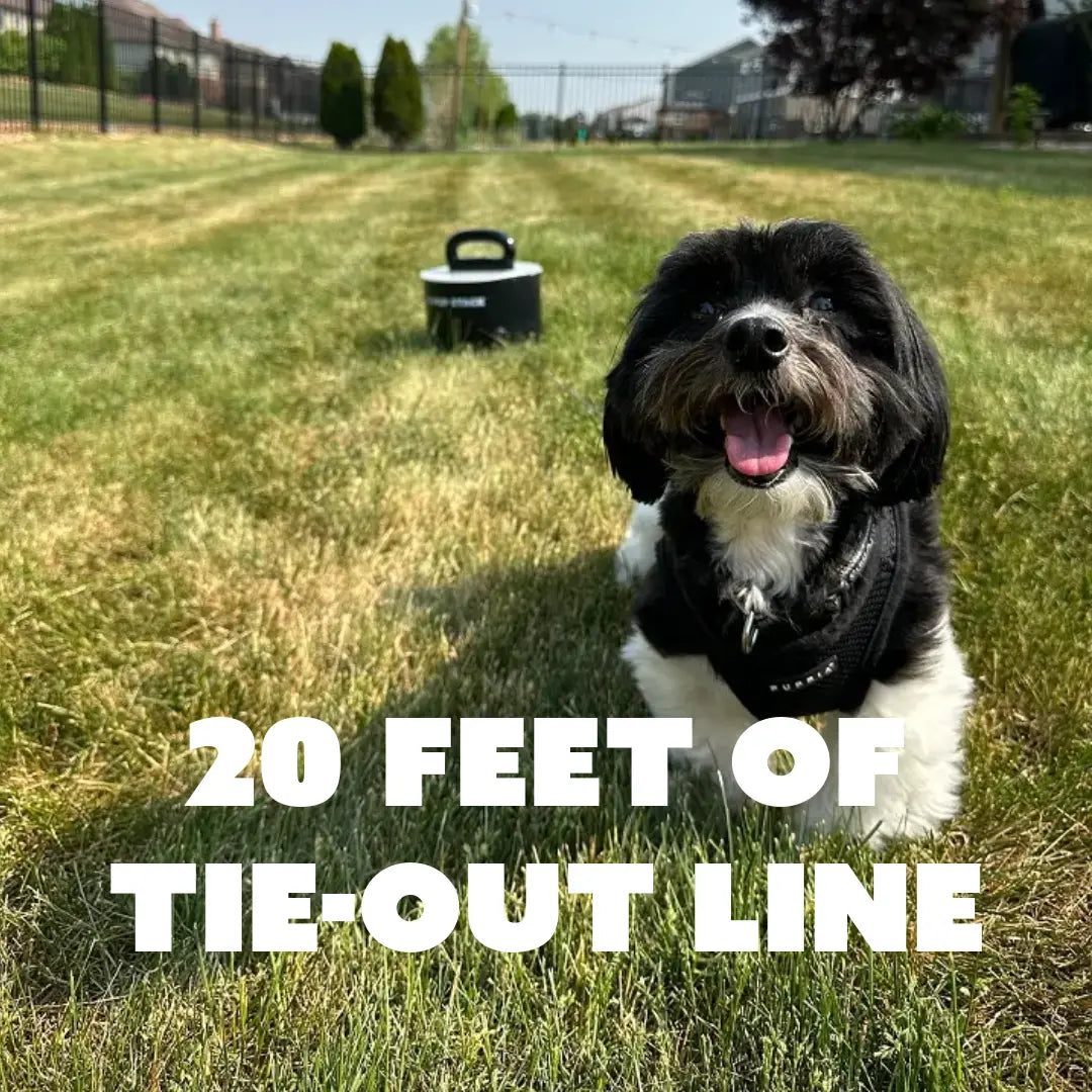 Dog Tie-Out Anchor product image 2