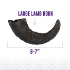Large Lamb Horn Dog Chew product image 2