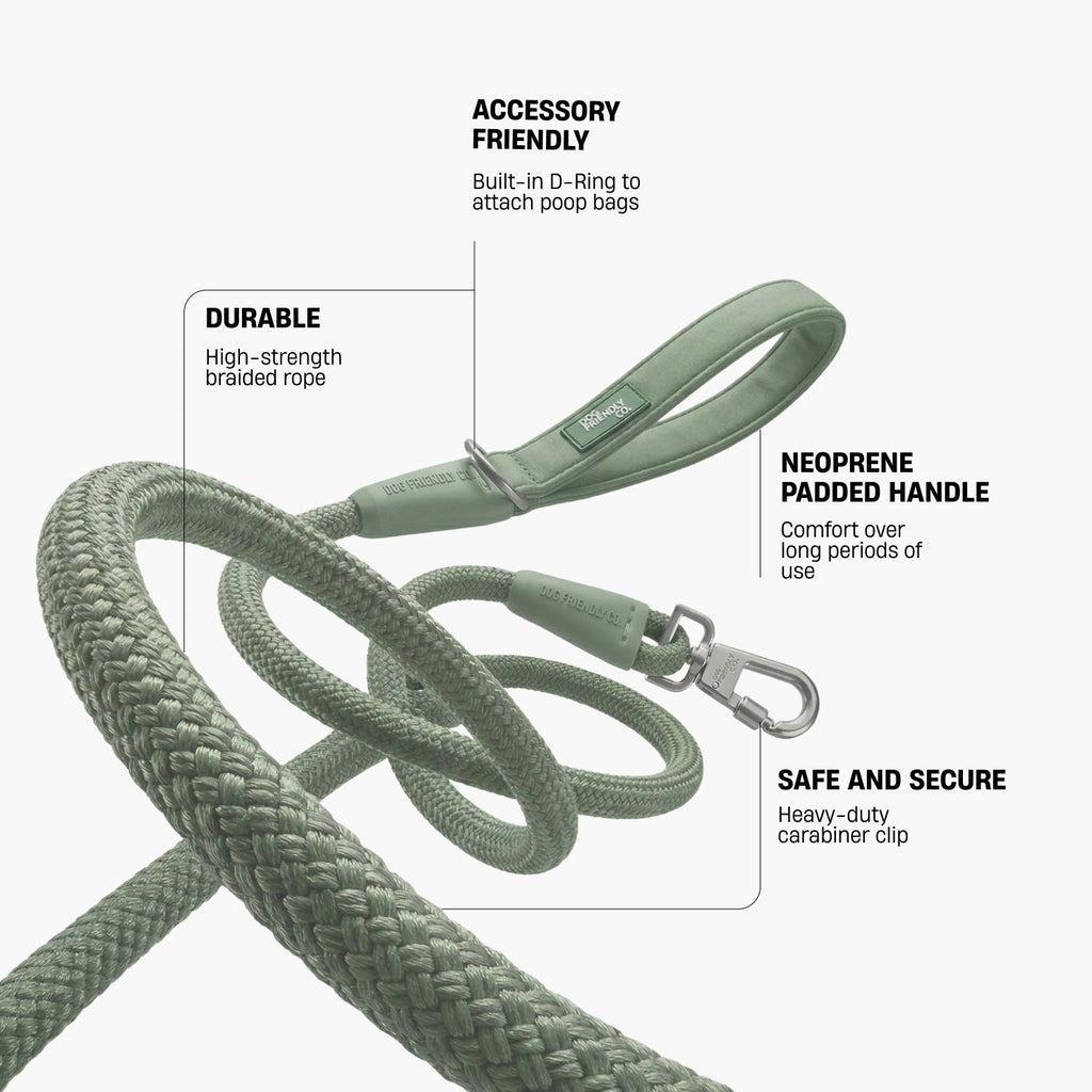 Rope Dog Leash product image 2