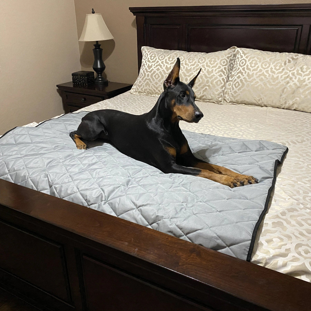 Waterproof Dog Blanket product image 2
