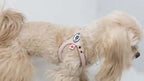 Dog Harness product image 2