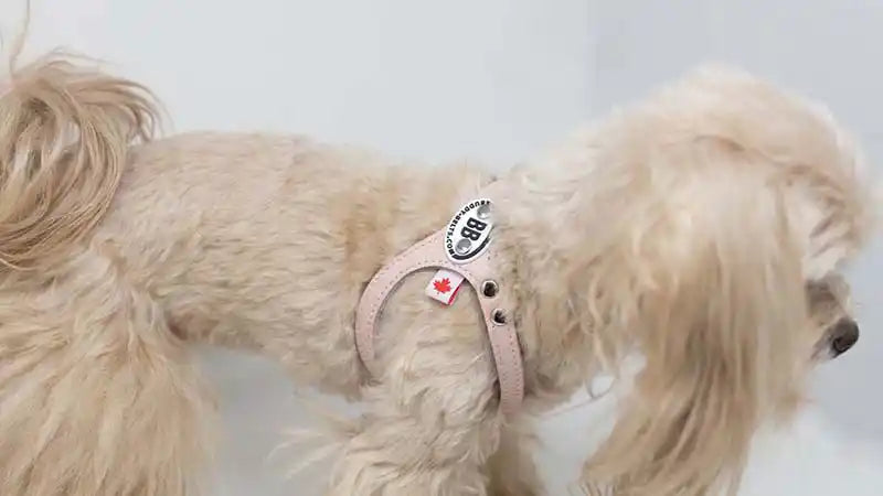 Dog Harness product image 2