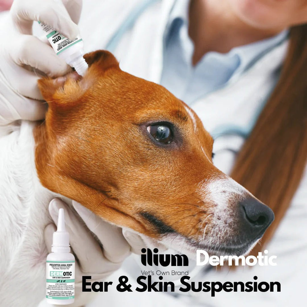 Ear & Skin Suspension product image 2