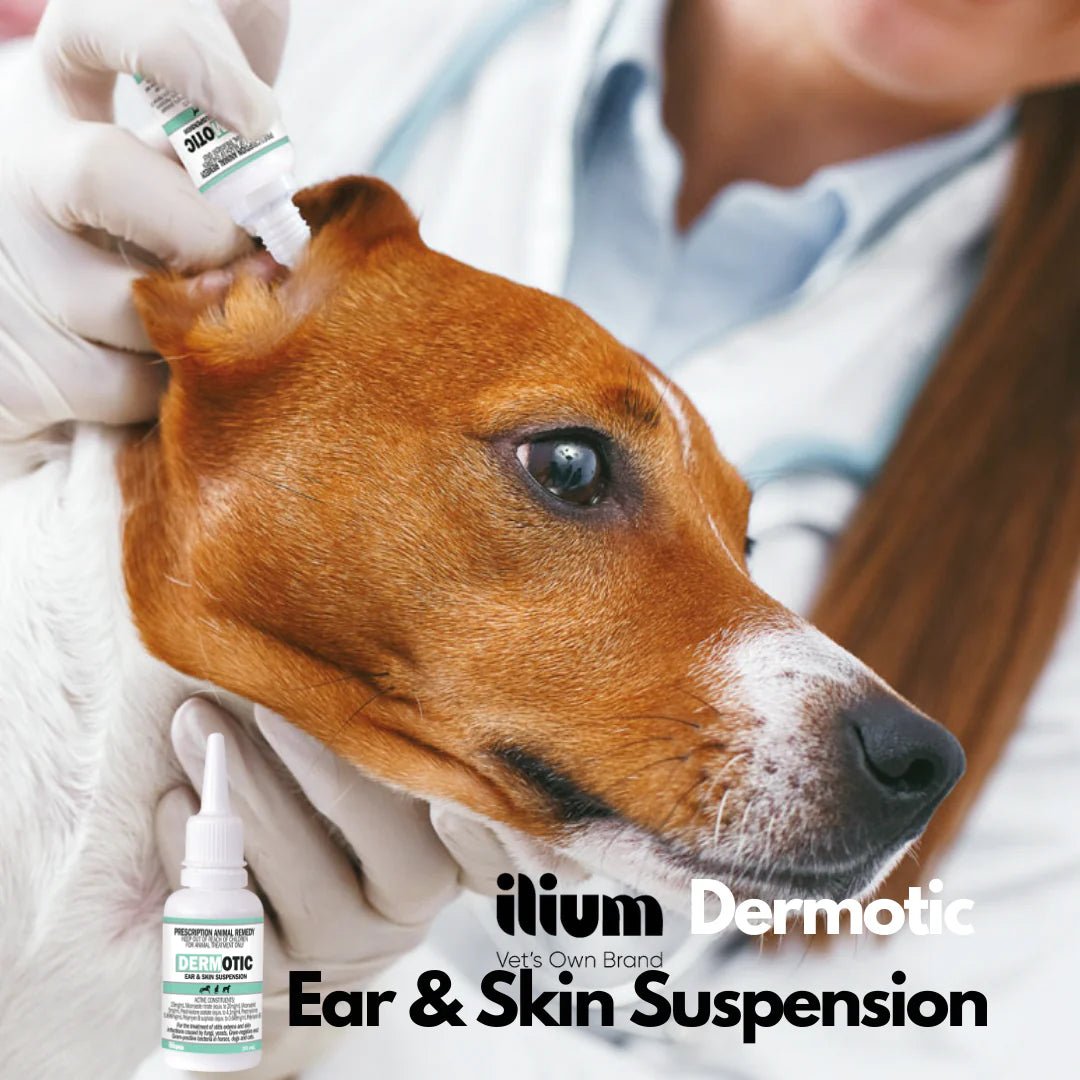 Ear & Skin Suspension product image 2
