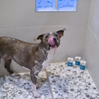 Dog Soap product image 2