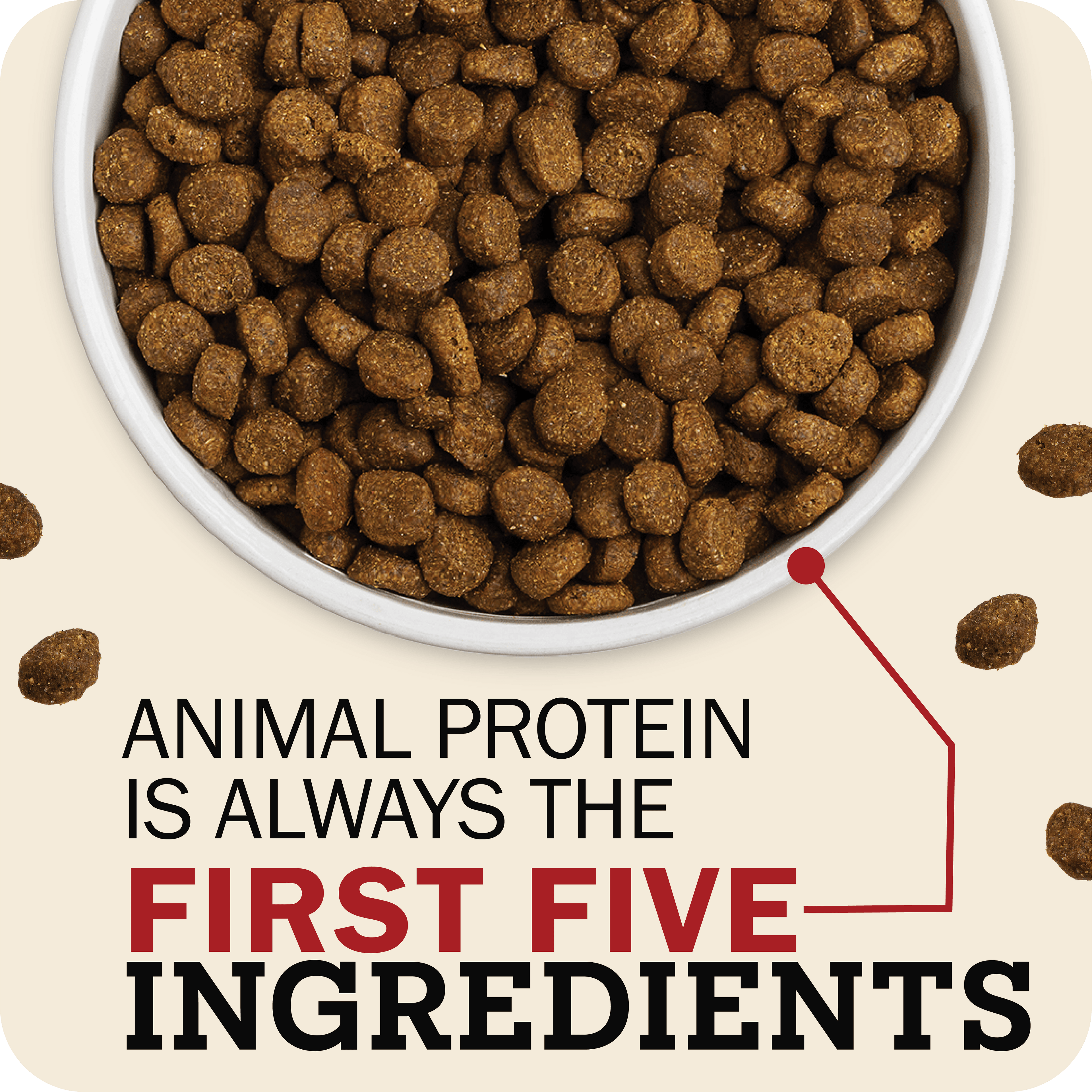 Grain-Free Beef and Lamb Dog Food product image 2