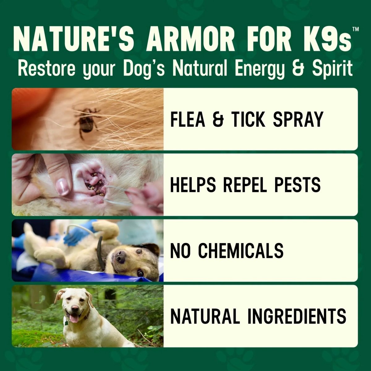 Dog Pest Spray product image 2