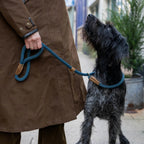 Dog Leads product image 2