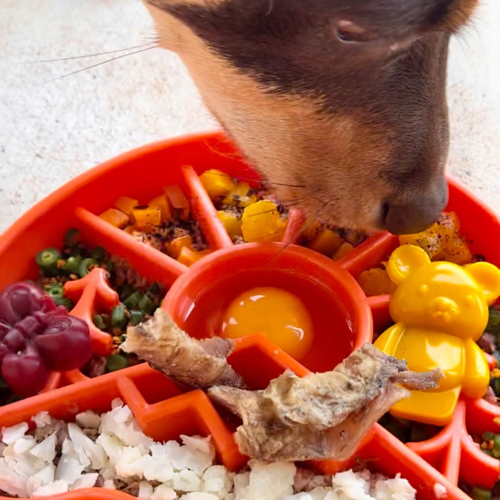 Slow Feeder Dog Bowl product image 2