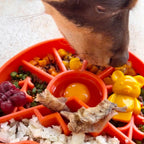 Slow Feeder Dog Bowl product image 2