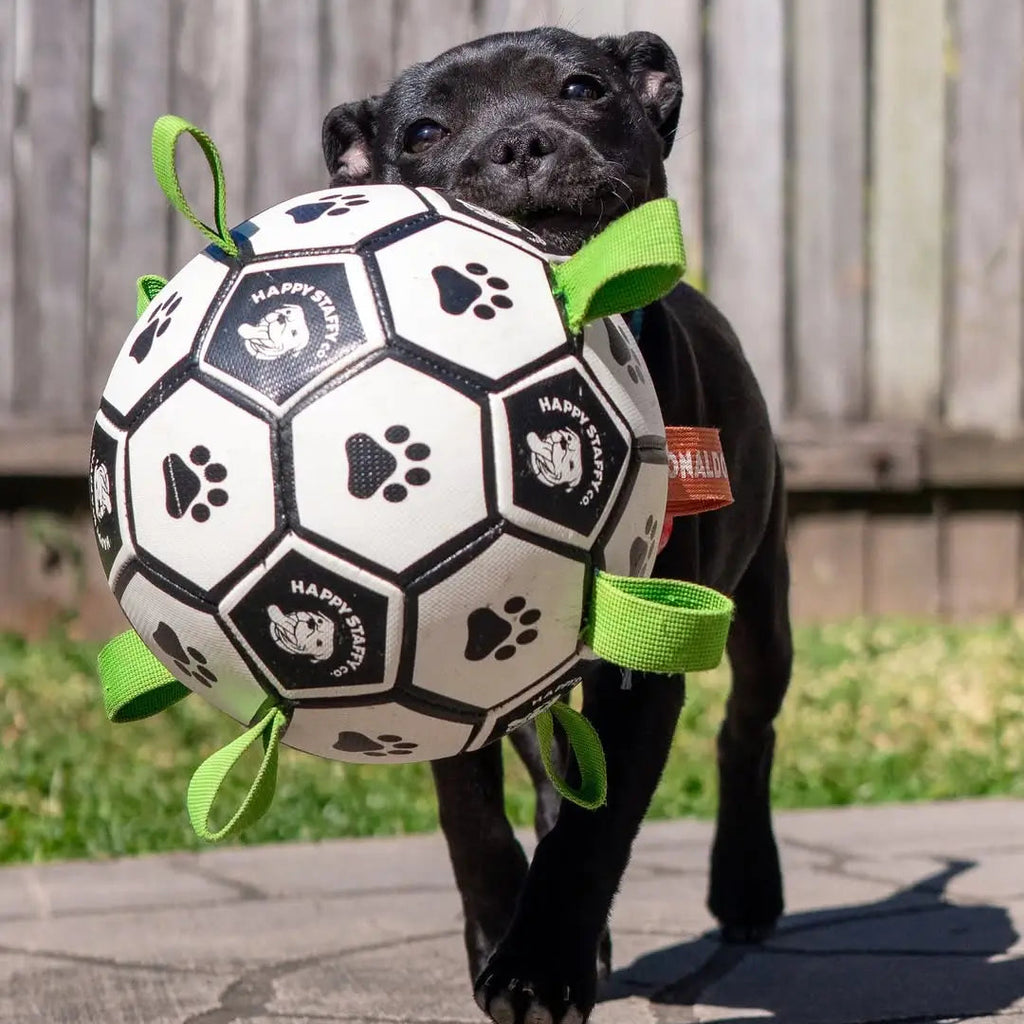 Soccer Ball Dog Toy with Tug Handles product image 2