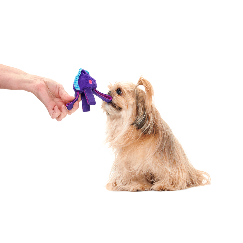 Two-Layer Tug Dog Toy product image 2