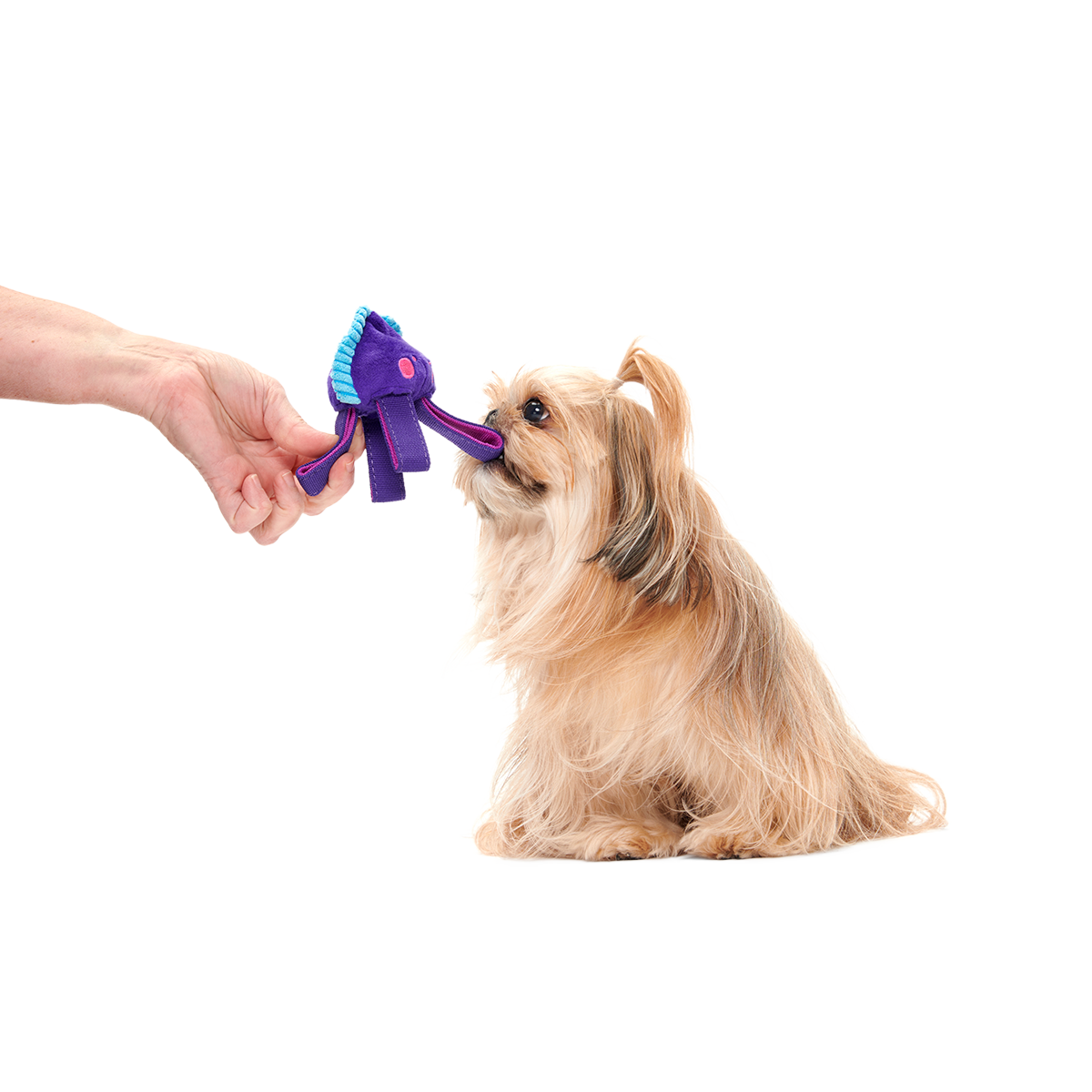 Two-Layer Tug Dog Toy product image 2
