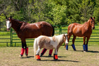 Horse Fly Boots product image 2