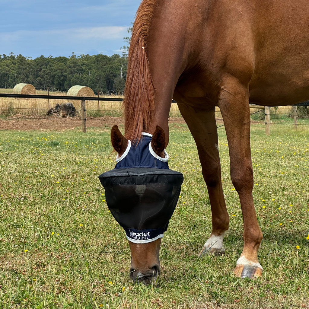 Horse Fly Mask product image 2