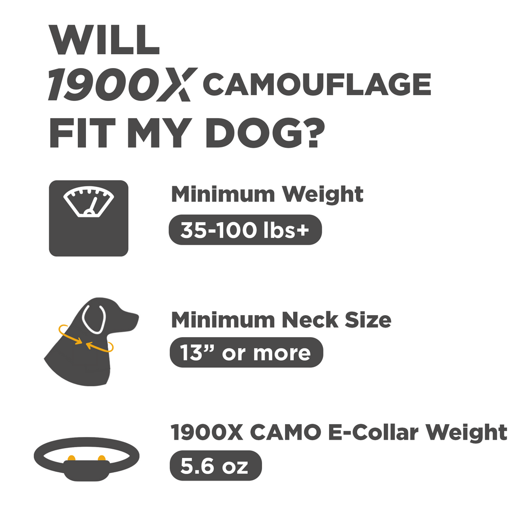 Dog Training Collar product image 2