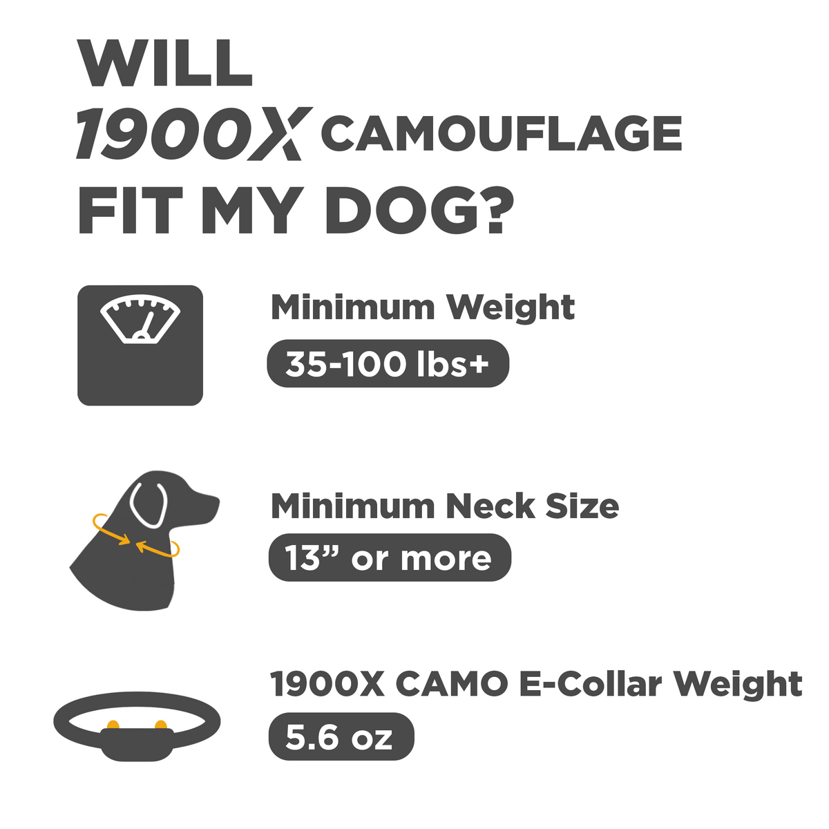 Dog Training Collar product image 2
