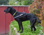 Dog Harness product image 2
