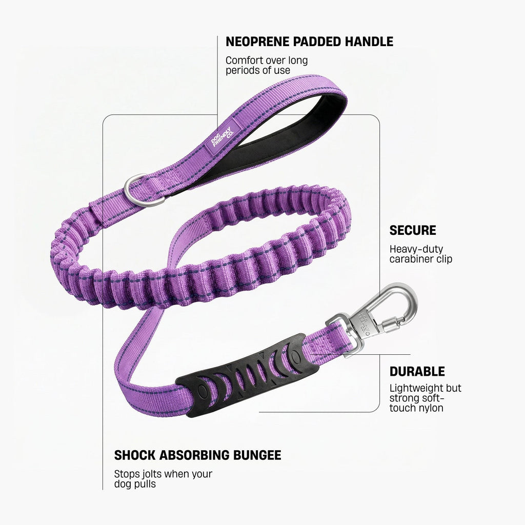 Dog Leash product image 2