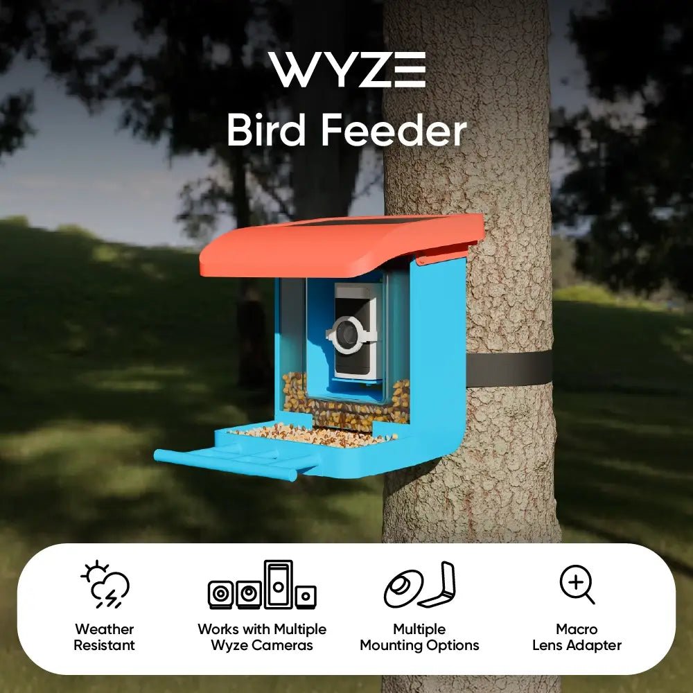 Bird Feeder product image 2