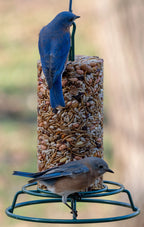 Wild Bird Food Cylinder product image 2