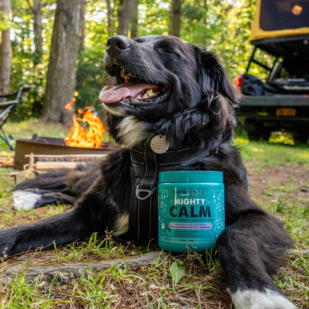 Calming Dog Supplement product image 2
