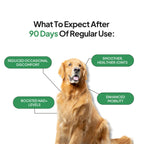 Dog Joint Supplement product image 2