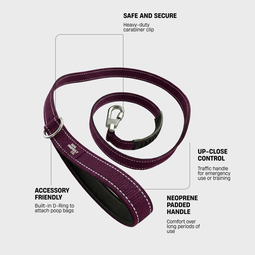 Dog Leash product image 2