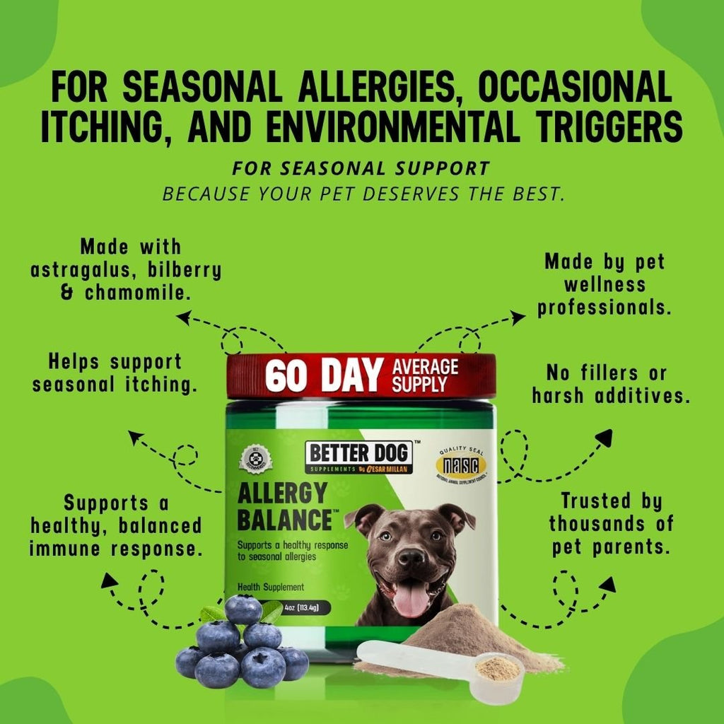 Dog Allergy Supplement product image 2