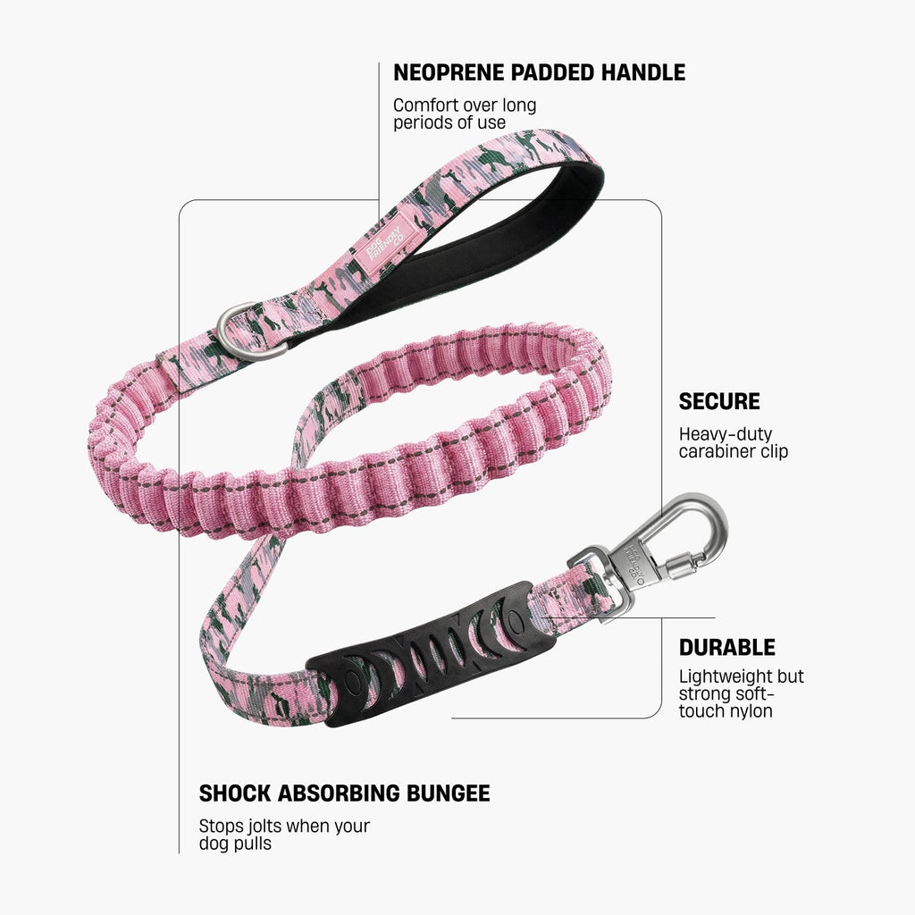 Bungee Dog Leash product image 2