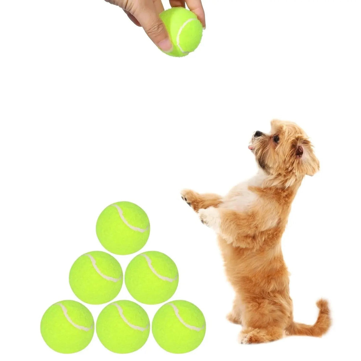 Dog Tennis Balls product image 2