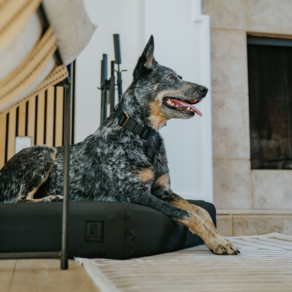 Orthopedic Dog Bed product image 2