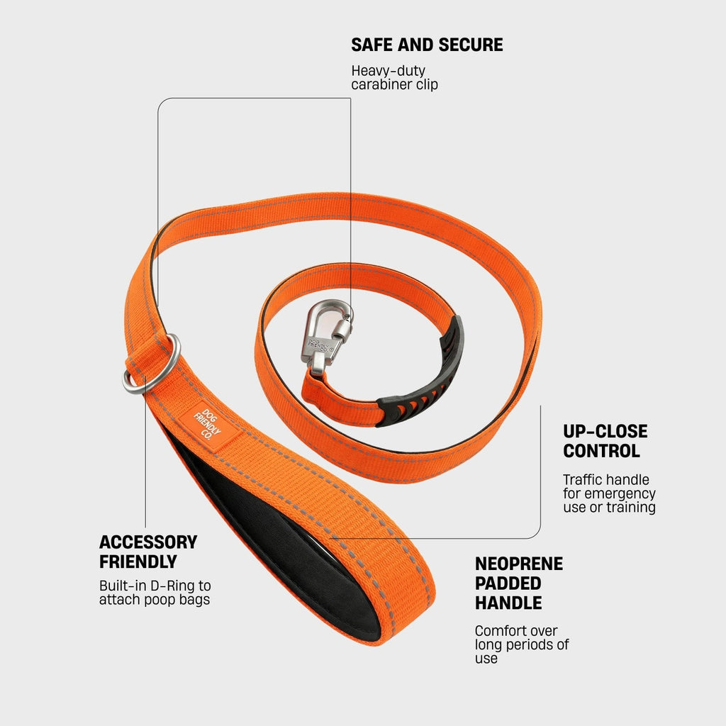Dog Leash product image 2
