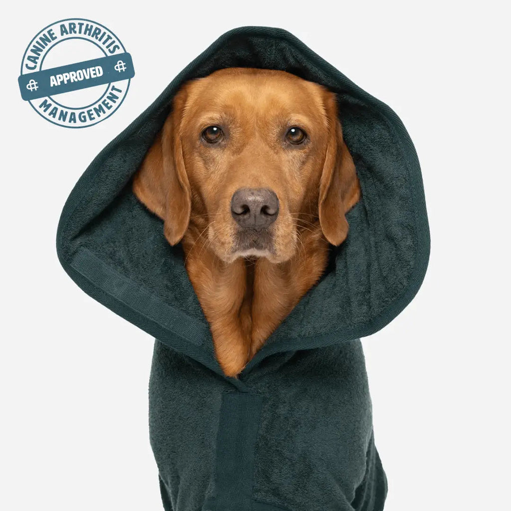 Dog Drying Coat product image 2