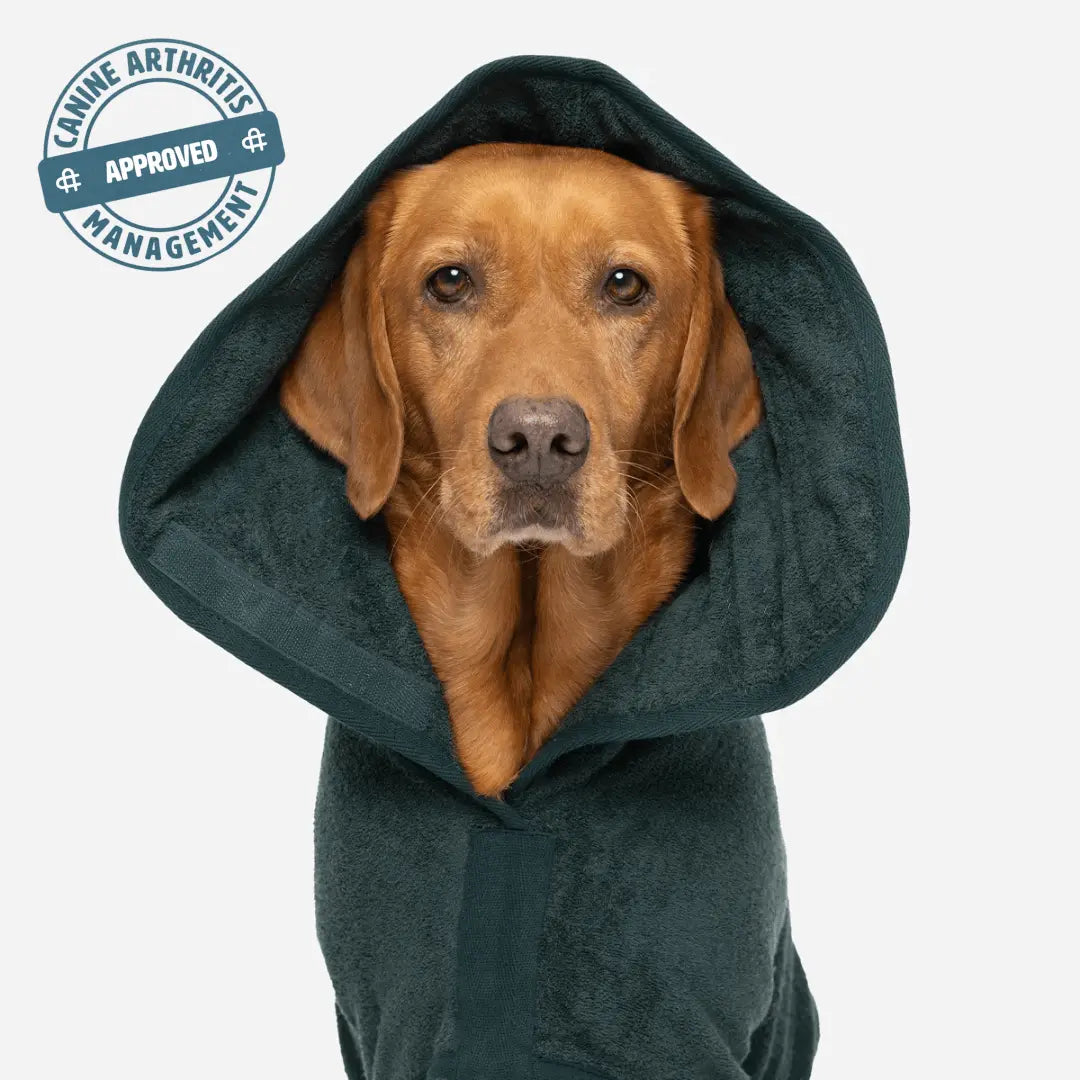 Dog Drying Coat product image 2