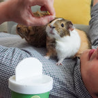 Guinea Pig Treat Sampler product image 2