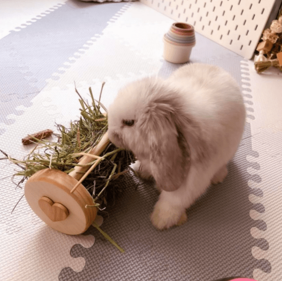 Small Animal Hay Roller product image 2