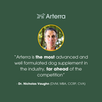 Adult Dog Multivitamin product image 2