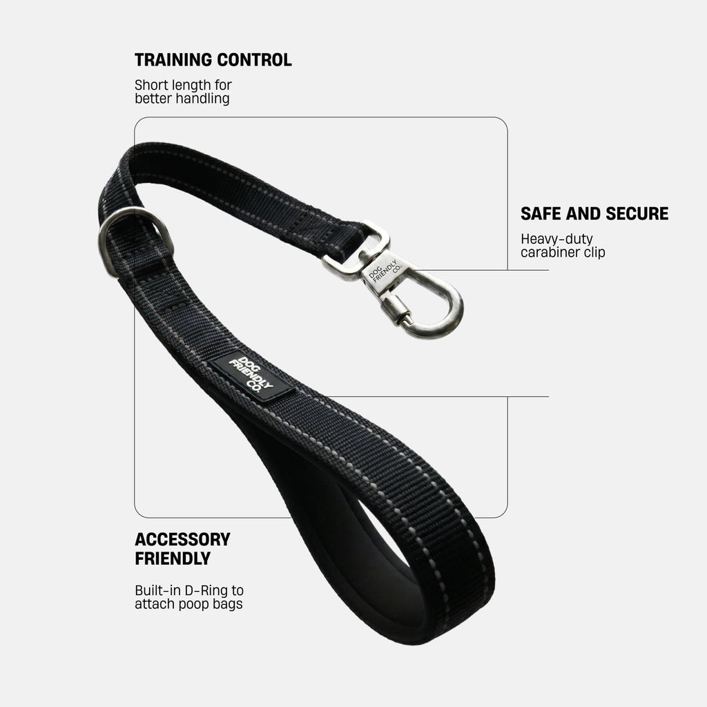Dog Leash product image 2