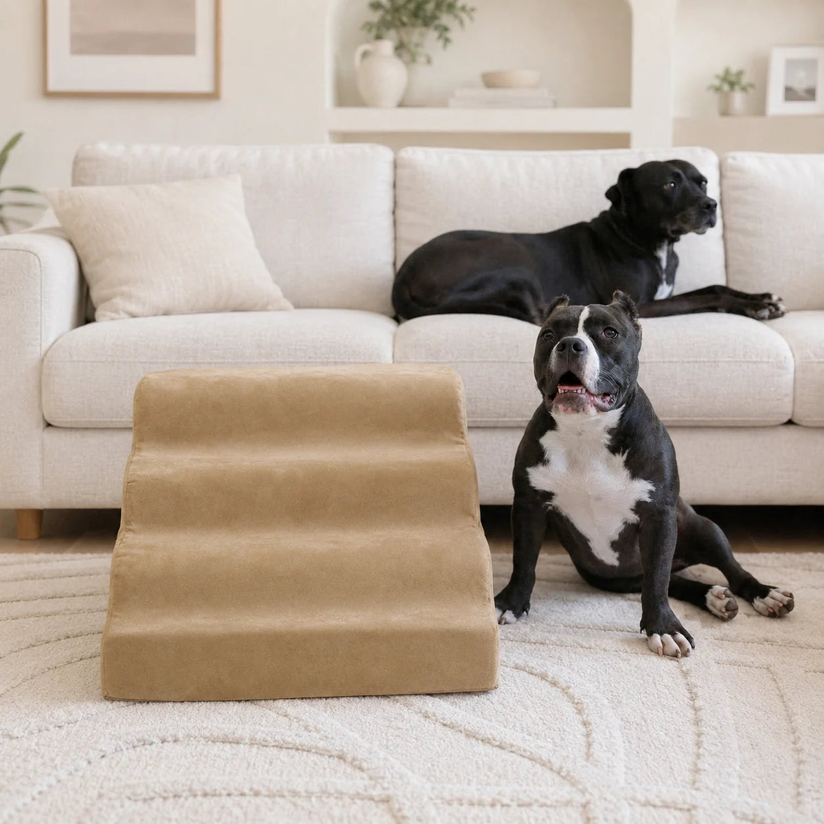 Small Dog Ramp product image 2