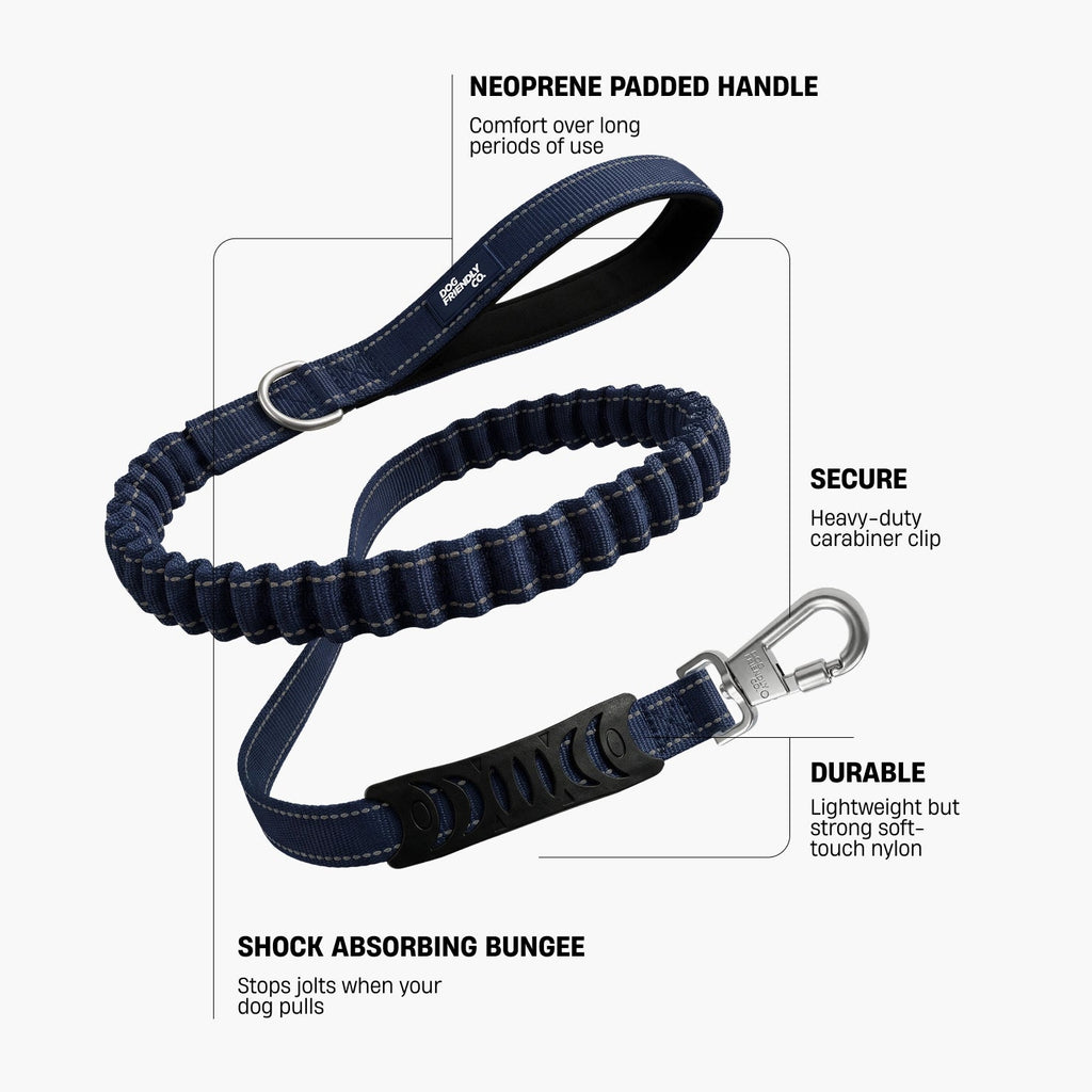 Bungee Dog Leash product image 2