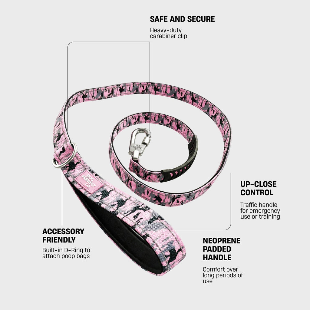 Dog Leash product image 2