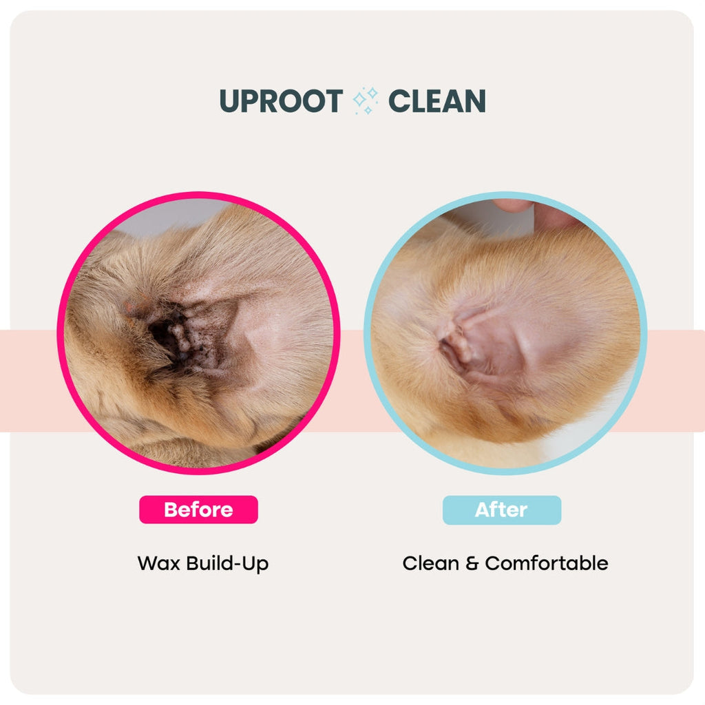 Pet Ear Cleaning Wipes product image 2